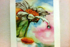 Aquarelle-2022-202341