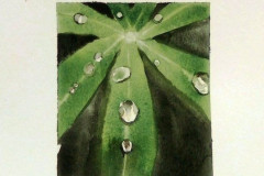 Aquarelle-2022-202342