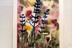 Aquarelle-2022-202343