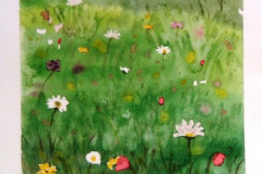 Aquarelle-2022-202344