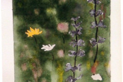 Aquarelle-2022-202345