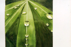Aquarelle-2022-202346