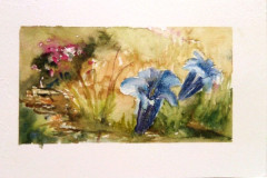 Aquarelle-2022-202347
