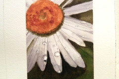 Aquarelle-2022-A-20230157