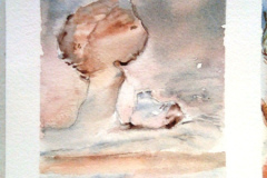 2_Aquarelle-2023-202430