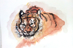 2_Aquarelle-2023-202455