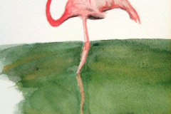 Aquarelle-2023-2024070