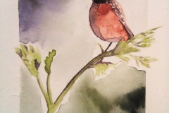 Stage-Les-oiseaux-a-laquarelle-2021-202202