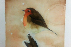 Stage-Les-oiseaux-a-laquarelle-2021-202203