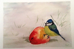 Stage-Les-oiseaux-a-laquarelle-2021-202205