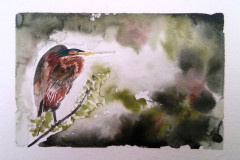 Stage-Les-oiseaux-a-laquarelle-2021-202206