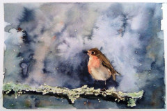 Stage-Les-oiseaux-a-laquarelle-2021-202208
