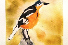 Stage-Les-oiseaux-a-laquarelle-2021-202209