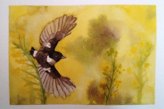 Stage-Les-oiseaux-a-laquarelle-2021-202210