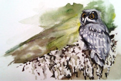 Stage-Les-oiseaux-a-laquarelle-2021-202212