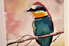 Stage-Les-oiseaux-a-laquarelle-2021-202213