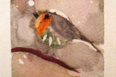 Stage-Les-oiseaux-a-laquarelle-2021-202214