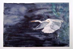 Stage-Les-oiseaux-a-laquarelle-2021-202217