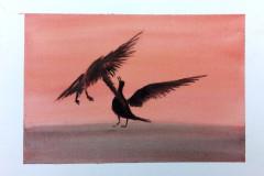 Stage-Les-oiseaux-a-laquarelle-2021-202219