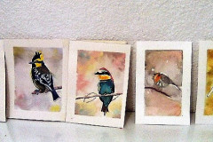 Stage-Les-oiseaux-a-laquarelle-2021-202221