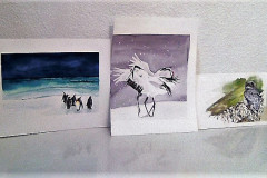 Stage-Les-oiseaux-a-laquarelle-2021-202223