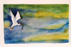 Stage-Les-oiseaux-a-laquarelle-2021-202224