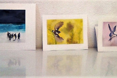 Stage-Les-oiseaux-a-laquarelle-2021-202226