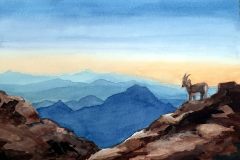 aquarelle_nov_25_13