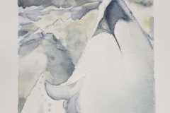 1_Aquarelle-2024-202531