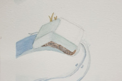 1_Aquarelle-2024-202533