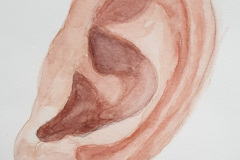 2_Aquarelle-2024-202514