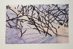 2_Aquarelle-2024-202516