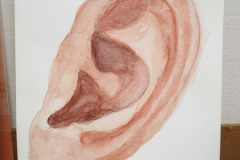 2_Aquarelle-2024-202518