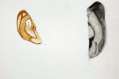 Aquarelle-2024-2025-02