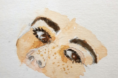 Aquarelle-2024-2025-05