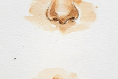 Aquarelle-2024-2025-18