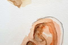 Aquarelle-2024-2025-19