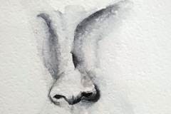 Aquarelle-2024-2025-25