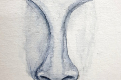 Aquarelle-2024-2025-27