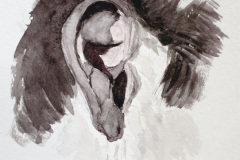 Aquarelle-2024-2025-35