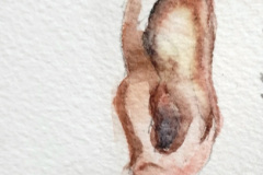 Aquarelle-2024-2025-40