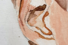 Aquarelle-2024-2025-47