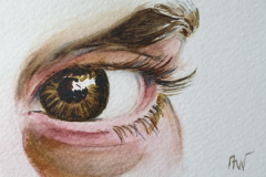 Aquarelle-2024-202503