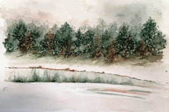 Aquarelle-2024-202504-2