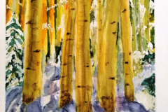 Aquarelle-2024-202507-2