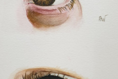 Aquarelle-2024-202510