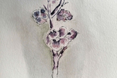 Aquarelle-2024-202512-2