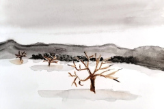 Aquarelle-2024-202513-2