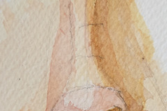 Aquarelle-2024-202516