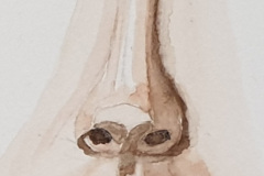 Aquarelle-2024-202521